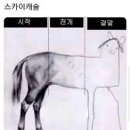 은성면옥