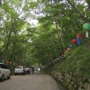 순천 조계산 선암사 -2011/08/07-