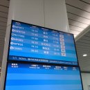 877 | 샤먼항공(하문항공) 푸저우에서 인천 MF877 탑승 후기, 기내식