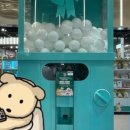 깜자식당 이미지