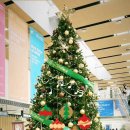 조상일정형외과의원 이미지