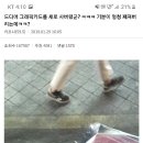 컴퓨터 본체 갤러리 레전드 그래픽카드를 새로 산 컴갤러.. 이미지