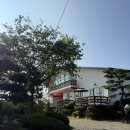 샛별펜션 | [공지] [충남 태안] 태안 안면도 해변과 가까운 펜션 추천, 샛별 여행 펜션에서의 하룻밤