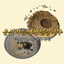 포레스트리솜 맛집 제천 옹심이들깨메밀칼국수 후기 - 주차정보, 메뉴추천, 웨이팅