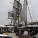 다운타운 이미지