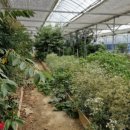 푸른꿈농장 이미지