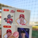 모먼츠인하도 | 250426 SSG랜더스 vs 키움히어로즈 직관후기 (앤더슨14K, 토요불꽃놀이)