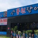 삼막풍천장어