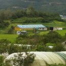 임종집농장 이미지