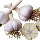 마늘를 꼭 먹어야 하는 이유 10가지 이미지