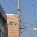 지적박물관 | 대구교육박물관 60시간 주말 교육봉사 후기