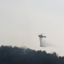 금산군축구장 이미지
