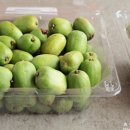 다래농장2 이미지