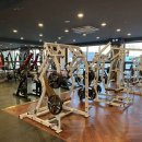 자이언트 피트니스 이미지