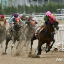 한국마사회 부산경남지역본부 이미지