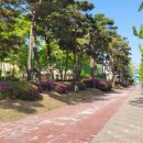 아림초등학교 이미지