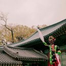 설 공연 이미지