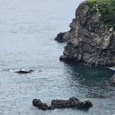대단한몸매다산점 | 아비투스(인간의 품격을 결정하는 7가지 자본, 책 내용, 요약, 후기, 밀리의 서재)