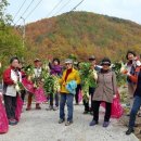 초대2리 이미지