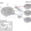 엊그제 뉴스 입니다. 이미지