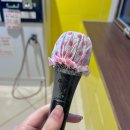 돼지동전노래연습장 이미지
