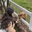 재호목장 이미지