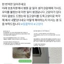 가사도우미한테 미리 고양이있다고 말했는데도 도둑고양이로 착각해 패서 내쫓았대 이미지