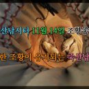 죽산 낚시터 이미지