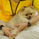 옐레드 애견유치원&애견호텔 부산용호점 | 옐레드 부산용호점 | 다정다감한 부산강아지유치원 | 애견호텔서비스도 운영중!