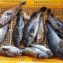 달빛좌대 이미지