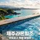 라온힐조 | "사진보다 더 예뻐요".. 제주라온힐조 판포포구 앞 독채 풀빌라 가보니 반전 정체