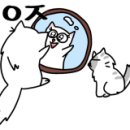 심쿵하냥 이미지