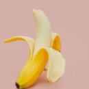 PT STUDIO 101 이미지