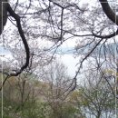 갈밭세천 이미지