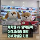 친절한푸른약국 이미지