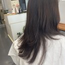사랑방미용실 | 안양역미용실 미장원바이재연 레이어드컷 후기｜가볍게 분위기 바꾼 안양동미용실