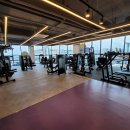 헬스컨설팅코리아 이미지