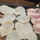 미친돼지 이미지