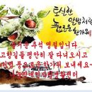 나눔장애인자립생활센터 이미지