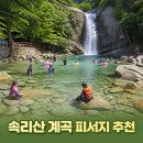 장각폭포송어장 | 속리산 물놀이 명소! 가족과 가볼만한 계곡 핫스팟