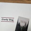 싹Dog | 🐶 Curly Dog 강아지 우비 ALL DAY 바람막이 올인원 레인코트 M 블랙 리뷰 ☔