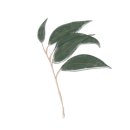 리버Coffee 네이버블로그
