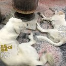 한마음주유소 이미지