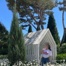 윤정약국 이미지