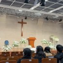 단풍에 폭설 내리는 정신 나간 계절에 쓰는 Daniary