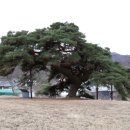 죽계마을회관 이미지