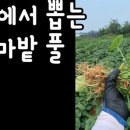 김원섭농장 이미지