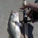 천수만민박 이미지