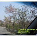 신동아114공인중개사사무소 이미지