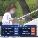 바글바글 이미지